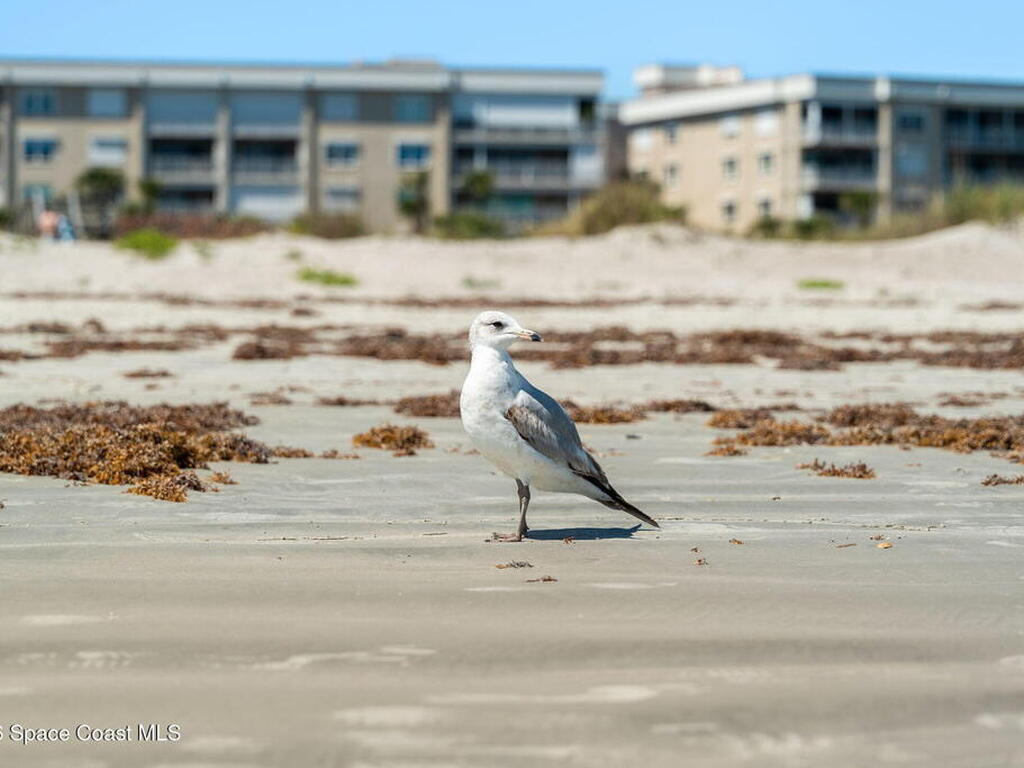 606 Shorewood Drive, Cape Canaveral, FL 32920