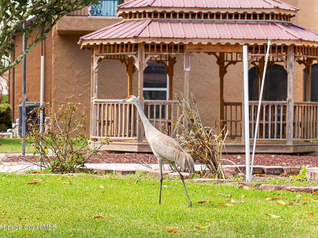 5137 Royal Paddock Way, Merritt Island, FL 32953