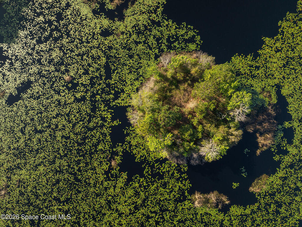 4160 Hidden Lakes Drive, Mims, FL 32754