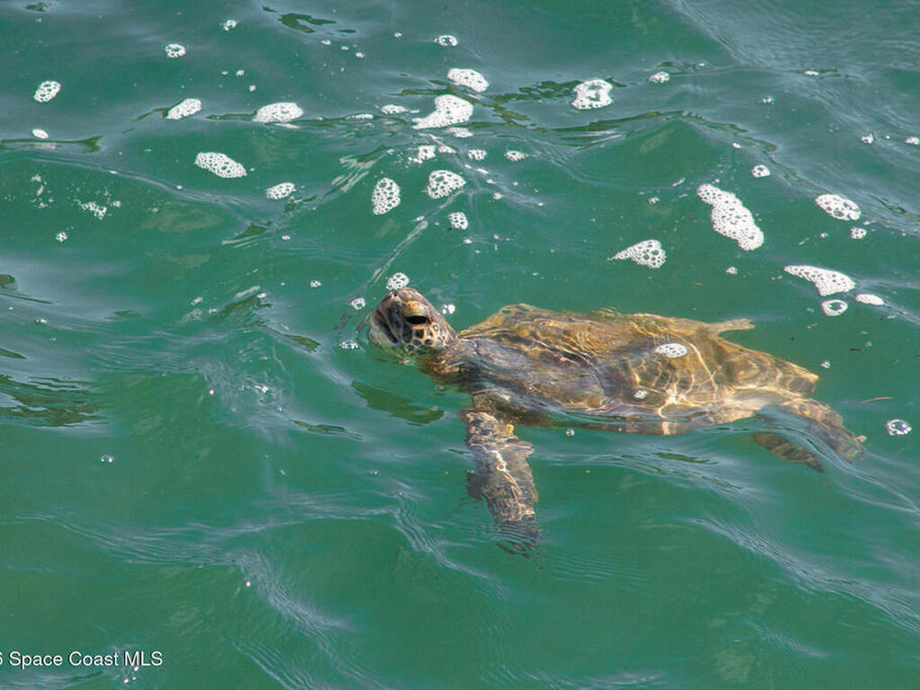 397 Harbor Drive, Cape Canaveral, FL 32920