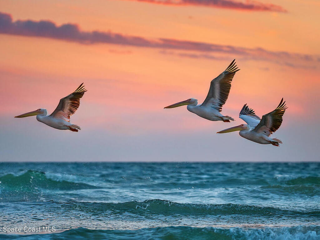 397 Harbor Drive, Cape Canaveral, FL 32920