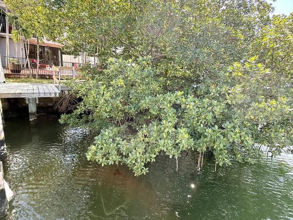 239 Poinciana Island Drive, North Miami Beach, FL 33160