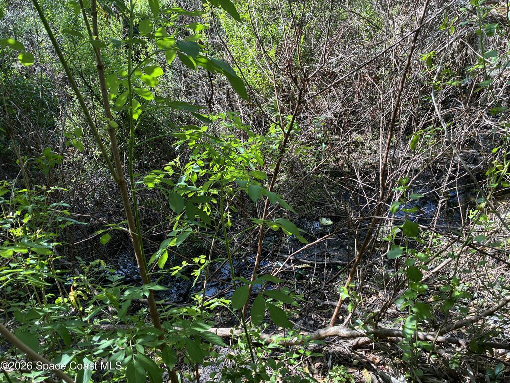 455 E Hall Road, Merritt Island, FL 32953