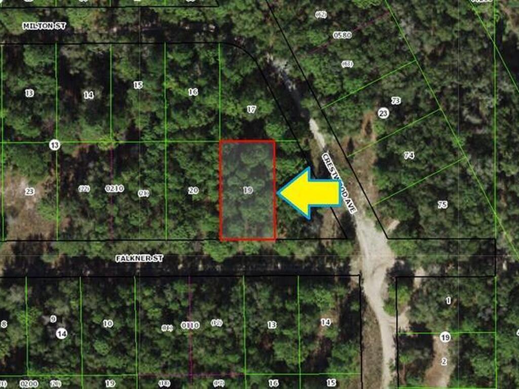 1902 Falkner Street, Inverness, FL 34453