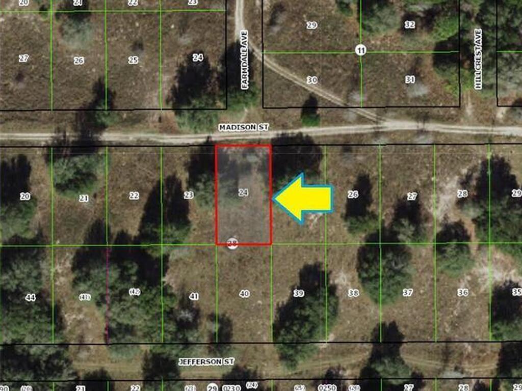 2215 Madison Street, Inverness, FL 34453