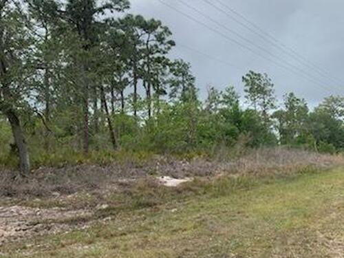 Azalea Drive, Indian Lake Estates, FL 33855