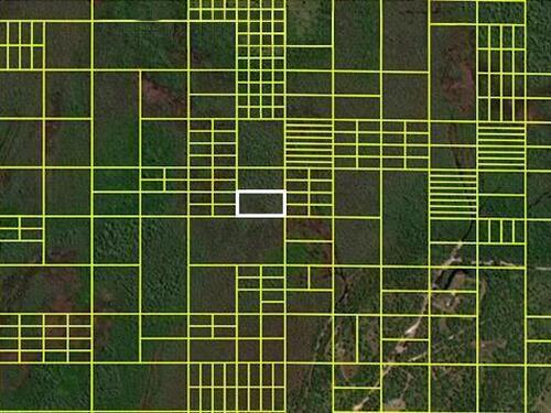 14110020 Holopaw Groves Road, St. Cloud, FL 34773