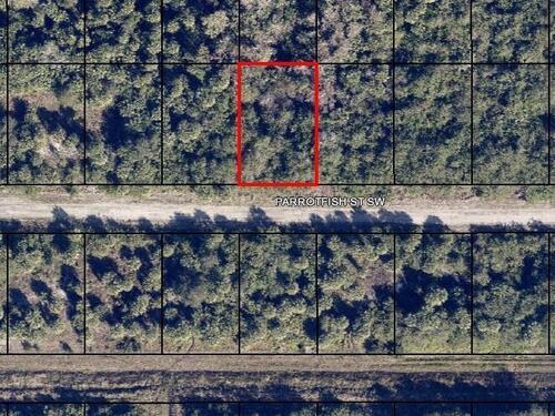 677 Parrotfish Street, Palm Bay, FL 32908