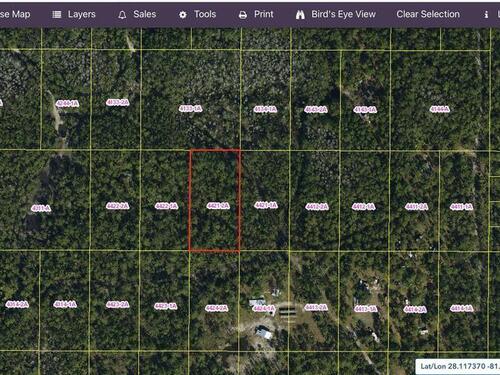 Holopaw Groves Rd, St. Cloud, FL 34771