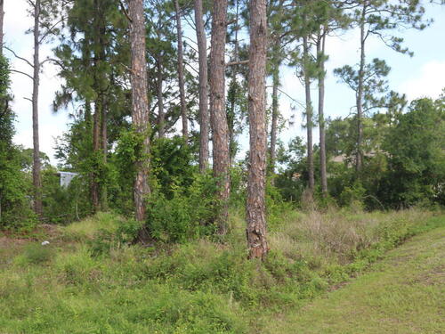 1531 Walker Street, Palm Bay, FL 32909