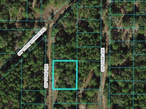 SW 152nd Terrace, Ocala, FL 34481