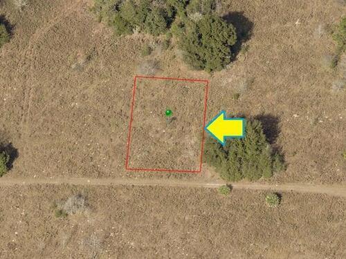 2306 Van Buren Street, Inverness, FL 34453