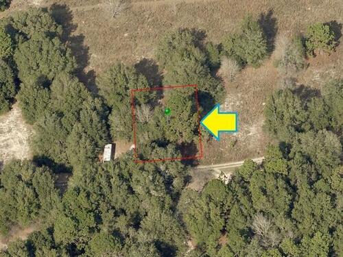 2314 Reagan Street, Inverness, FL 34453