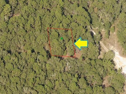 1902 Falkner Street, Inverness, FL 34453