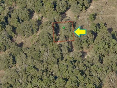 1905 Victor Street, Inverness, FL 34453