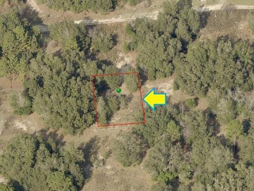 2408 Jefferson Street, Inverness, FL 34453